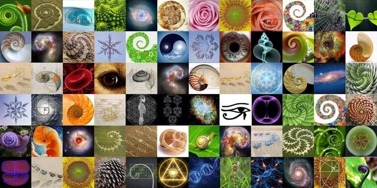 Sami Parker OnlyFans | @samiparkerxxx review (Leaks, Videos, Nudes)