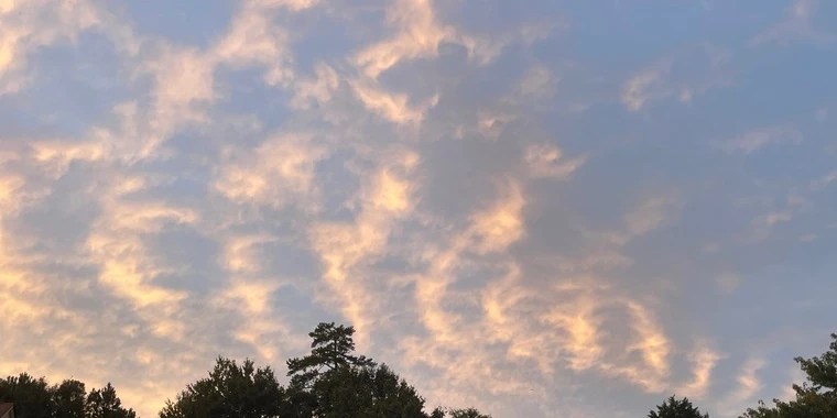 Sanders OnlyFans | @sandersworks review (Leaks, Videos, Nudes)