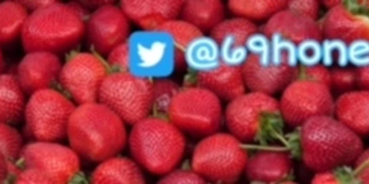 sera OnlyFans | @sera_channel review (Leaks, Videos, Nudes)