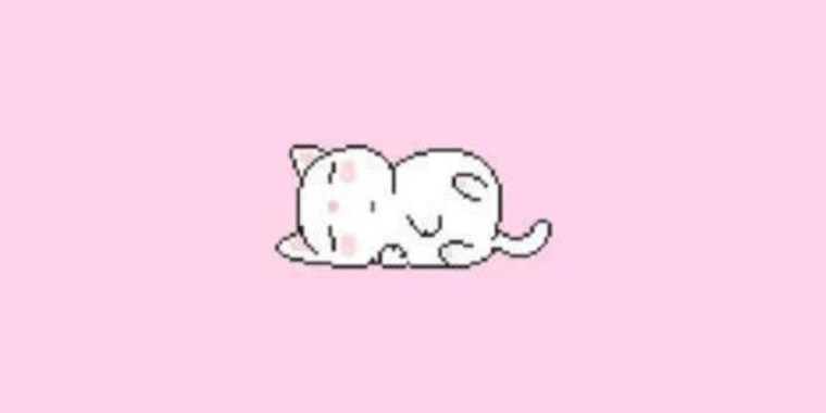 shyslut0 OnlyFans | @shyslut0 review (Leaks, Videos, Nudes)