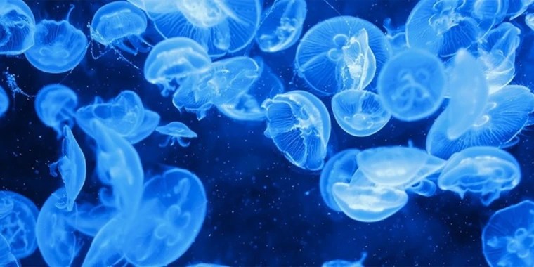 Simone OnlyFans | @simonemoans review (Leaks, Videos, Nudes)