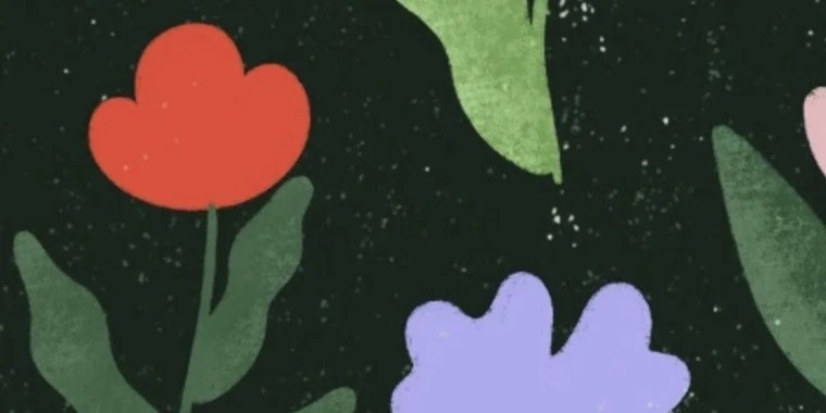 SOFI ~ OnlyFans | @sofbud review (Leaks, Videos, Nudes)