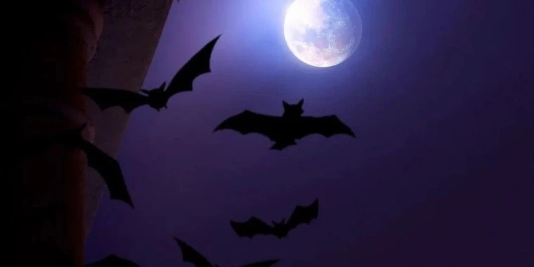 Stephanie OnlyFans | @spicy_emo review (Leaks, Videos, Nudes)