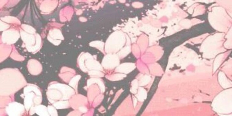 sushi OnlyFans | @sushicutie review (Leaks, Videos, Nudes)