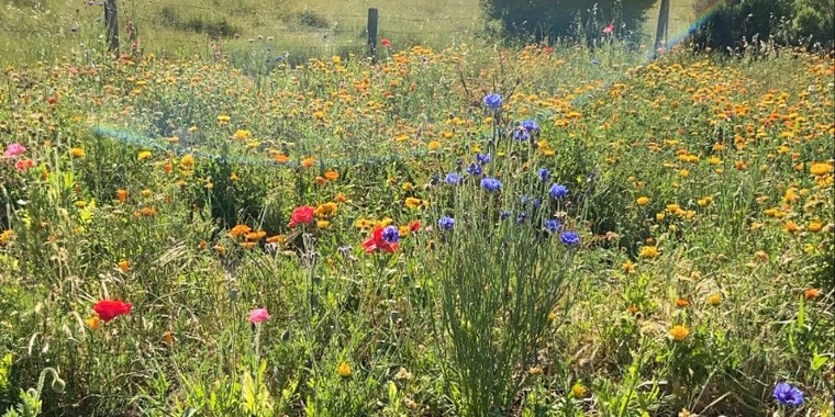 Jo OnlyFans | @sweet_joni review (Leaks, Videos, Nudes)