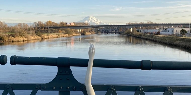 TacomaArms OnlyFans | @tacomaarms review (Leaks, Videos, Nudes)