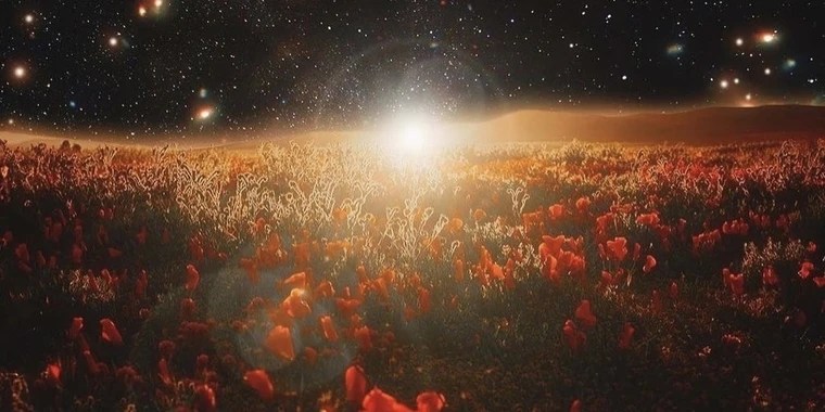 Ruru OnlyFans | @tacosnchill review (Leaks, Videos, Nudes)