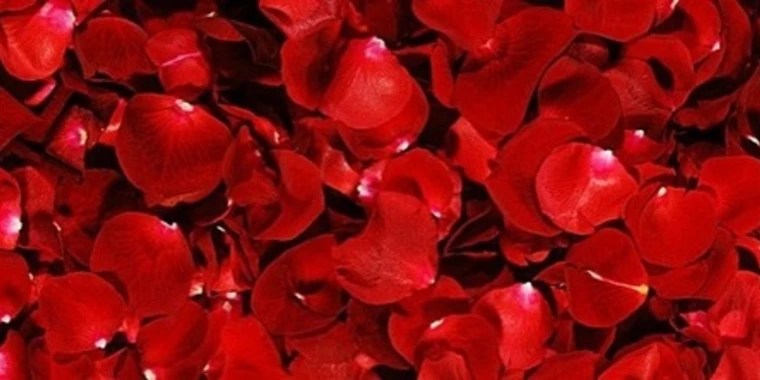 Briar OnlyFans | @thebriarpatch review (Leaks, Videos, Nudes)