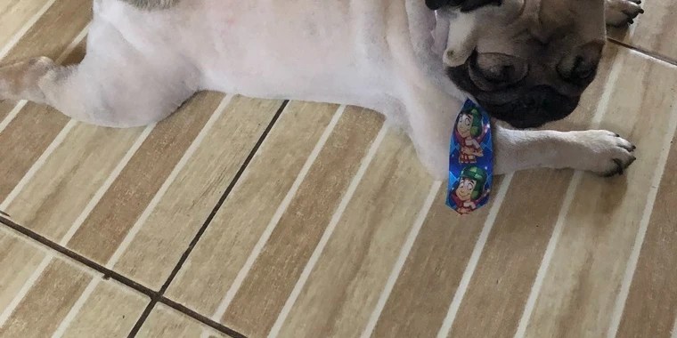 Tianeneia OnlyFans | @tianeneia review (Leaks, Videos, Nudes)