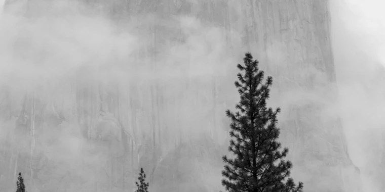 Timmy Thick Strokes OnlyFans | @timmystrokes69 review (Leaks, Videos, Nudes)