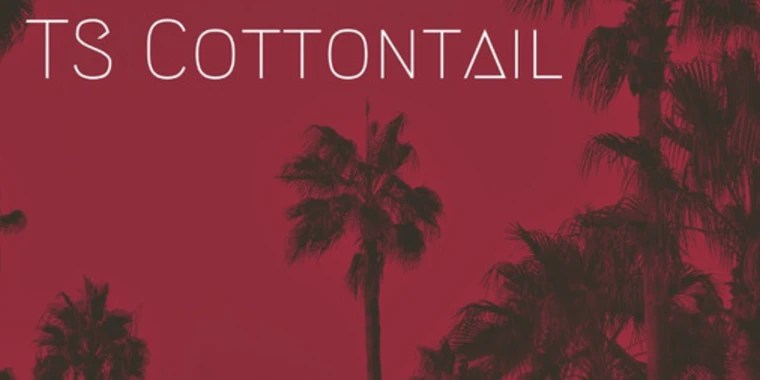 Cottontail OnlyFans | @tscottontail review (Leaks, Videos, Nudes)