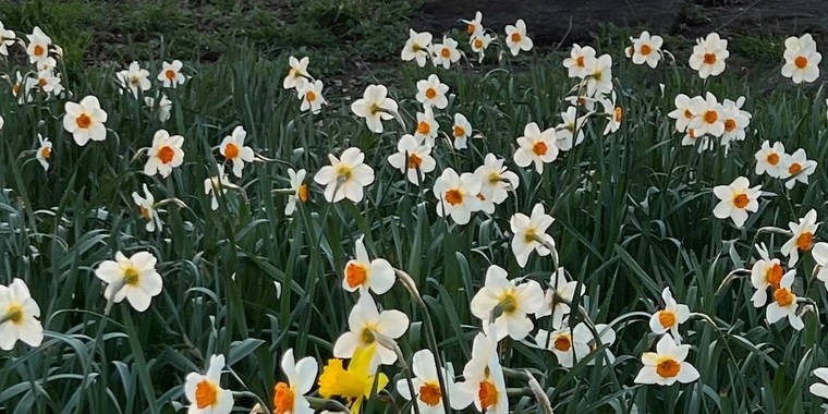 Big Momma OnlyFans | @tsnextdoor review (Leaks, Videos, Nudes)