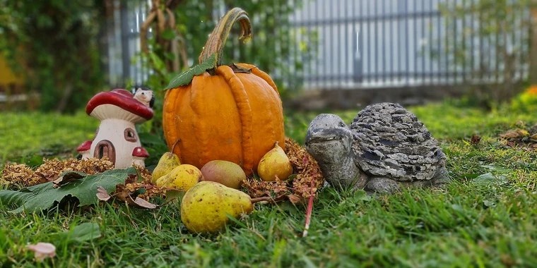 VictoriaS OnlyFans | @u181210683 review (Leaks, Videos, Nudes)