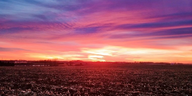 gingerly OnlyFans | @u98789883 review (Leaks, Videos, Nudes)