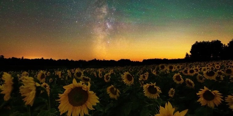 Sabrina OnlyFans | @undead_pikachu review (Leaks, Videos, Nudes)