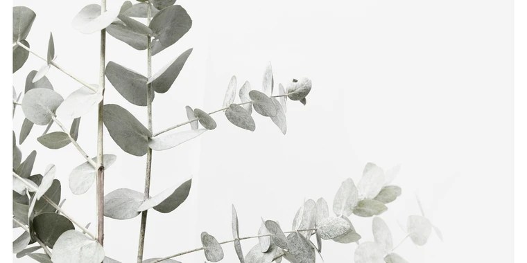 whitney OnlyFans | @whitneywilliams review (Leaks, Videos, Nudes)