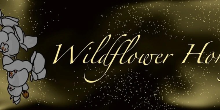 Wildflower Honey OnlyFans | @wi1dfl0werh0ney review (Leaks, Videos, Nudes)