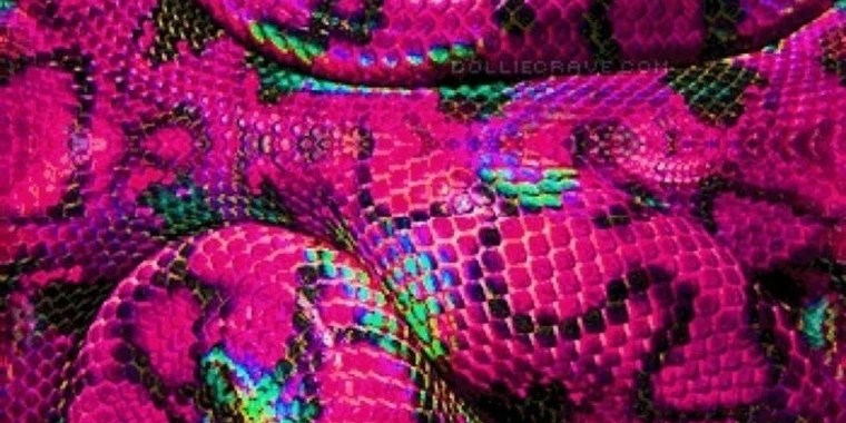 winter OnlyFans | @wintrr_ review (Leaks, Videos, Nudes)