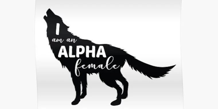 Alpha Wolf OnlyFans | @wolves92 review (Leaks, Videos, Nudes)