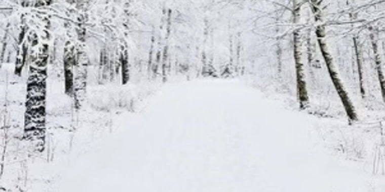 Wynter Love OnlyFans | @wynterlovebbw review (Leaks, Videos, Nudes)