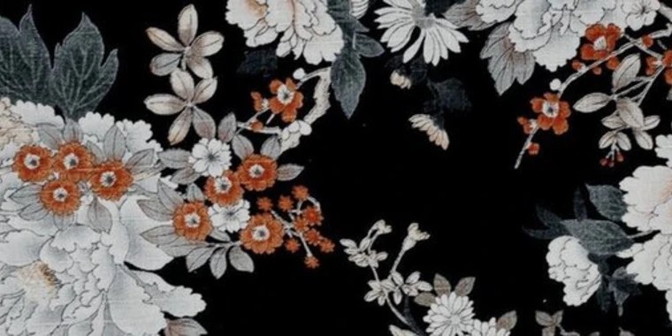 Yuri OnlyFans | @xoxo_yuri review (Leaks, Videos, Nudes)