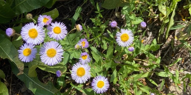 Xoxo OnlyFans | @xoxokatt review (Leaks, Videos, Nudes)