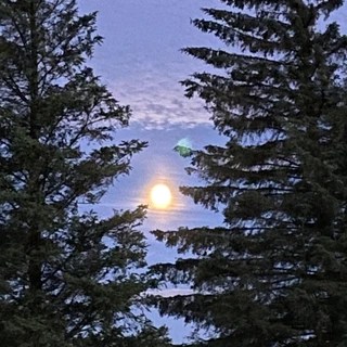 Alexander Bach OnlyFans | @alexander_bach review (Leaks, Videos, Nudes)