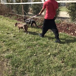 Am OnlyFans | @ant_snow review (Leaks, Videos, Nudes)