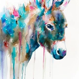 BB OnlyFans | @apricotdonkey review (Leaks, Videos, Nudes)