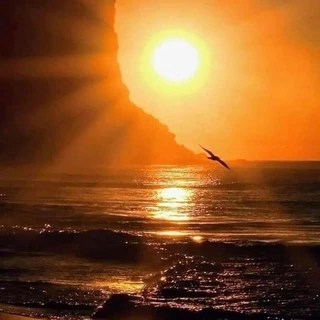 Bellezas Tropical OnlyFans | @bellezastropical review (Leaks, Videos