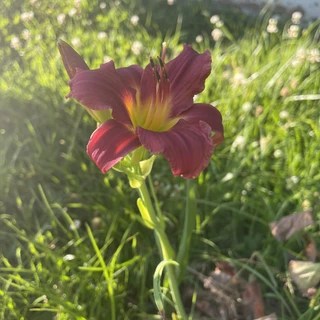 Blair OnlyFans | @blair1990 review (Leaks, Videos, Nudes)