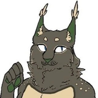 Blockie Lynx OnlyFans | @blockielynx review (Leaks, Videos, Nudes)