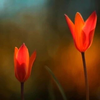 Kyle OnlyFans | @cb_kyle review (Leaks, Videos, Nudes)