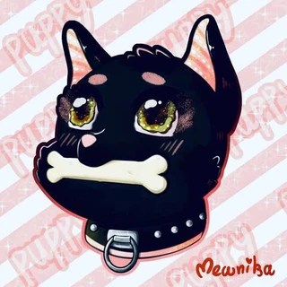 Puppy OnlyFans | @chubby_puppy review (Leaks, Videos, Nudes)