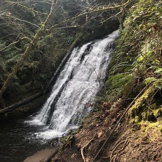 Rudy K OnlyFans | @cookingrudyk review (Leaks, Videos, Nudes)