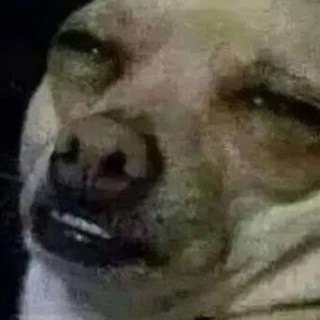 Corona_virus_ OnlyFans | @corona_virus_ review (Leaks, Videos, Nudes)