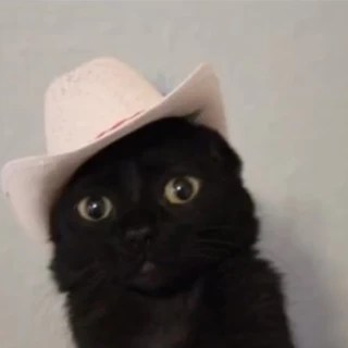 Delilah OnlyFans | @delilahdreams review (Leaks, Videos, Nudes)