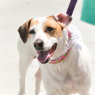 Top Shore OnlyFans | @deltaphoto review (Leaks, Videos, Nudes)