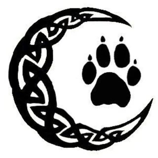 Elizabeth Daniels OnlyFans | @elizabeth_daniels review (Leaks, Videos