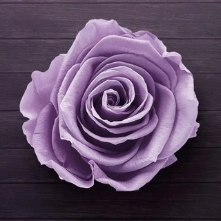 Erotic Diaries OnlyFans | @eroticdiaries review (Leaks, Videos, Nudes)