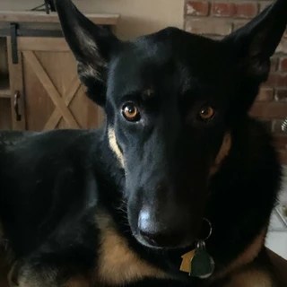 FarmgrownFishin OnlyFans | @farmgrownfishin review (Leaks, Videos, Nudes)