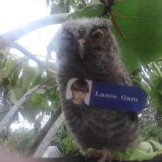 Lance Gam OnlyFans | @gamma_rey review (Leaks, Videos, Nudes)