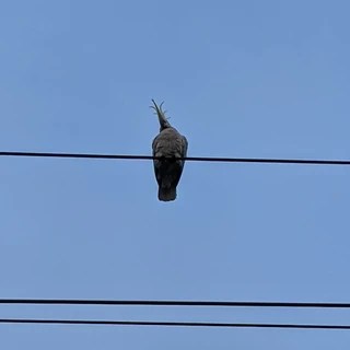 hazelbaby OnlyFans | @hazel-baby review (Leaks, Videos, Nudes)