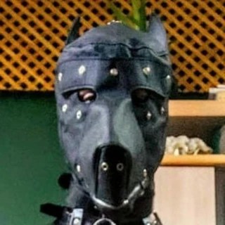 Jaime Fall OnlyFans | @jaimefall review (Leaks, Videos, Nudes)