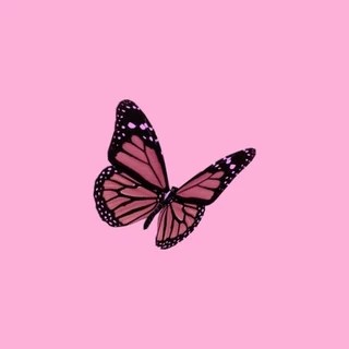 Jayden Black OnlyFans | @jaydenonthelow review (Leaks, Videos, Nudes)