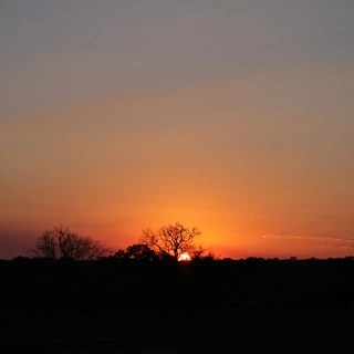 Jesse OnlyFans | @jessepowers review (Leaks, Videos, Nudes)