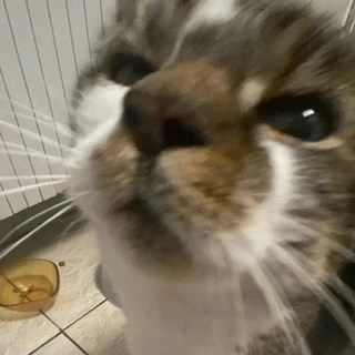 Jules OnlyFans | @jules898 review (Leaks, Videos, Nudes)