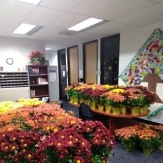 Levine OnlyFans | @levilous review (Leaks, Videos, Nudes)