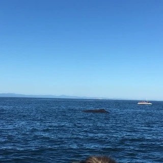 Liam OnlyFans | @liamjacobs review (Leaks, Videos, Nudes)