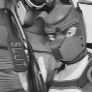 Lincoln Rose OnlyFans | @lincolnrose review (Leaks, Videos, Nudes)